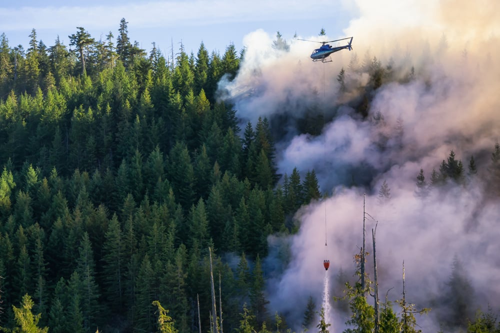 forestry_drahkarre